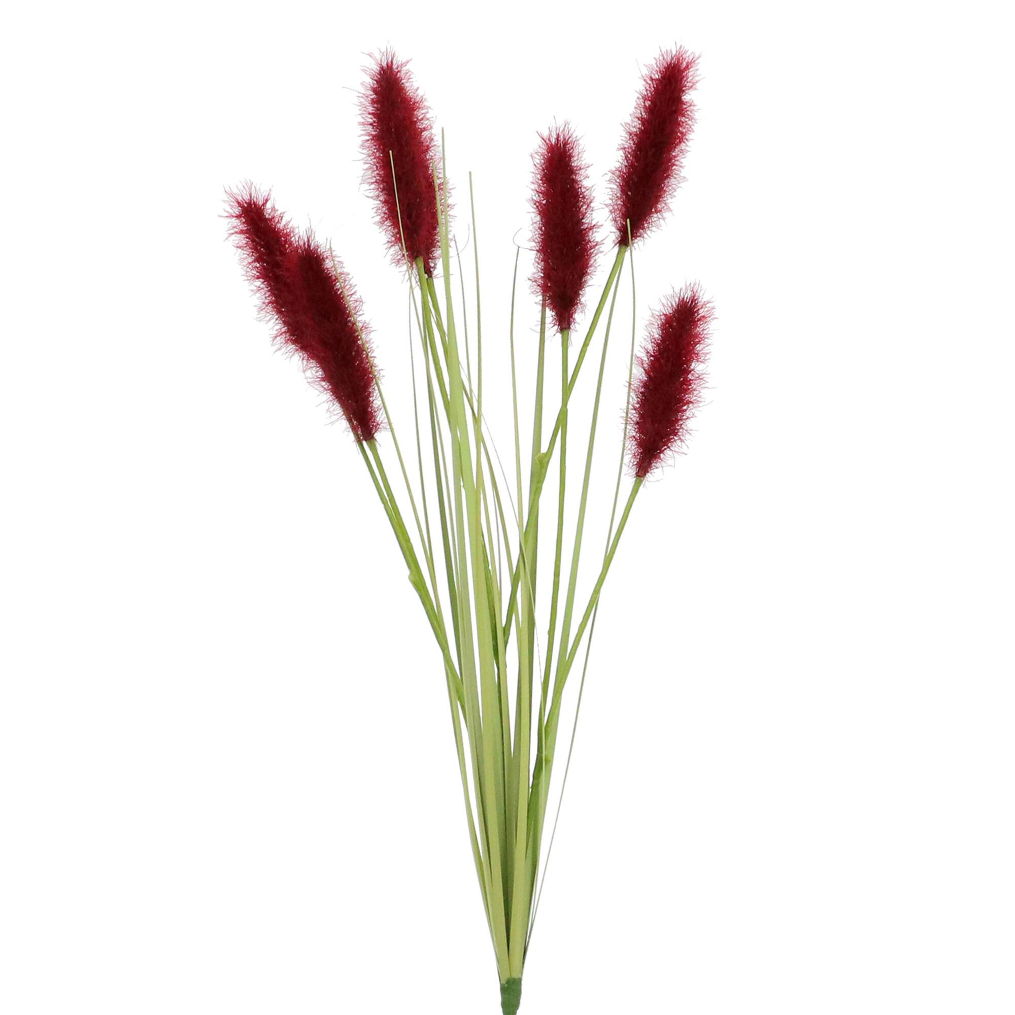 Burgundy Bunny Tail Stem by Ashland®